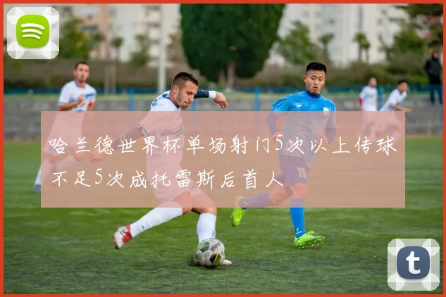 哈兰德世界杯单场射门5次以上传球不足5次成托雷斯后首人
